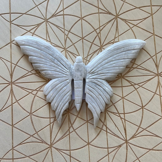 Butterfly Carving