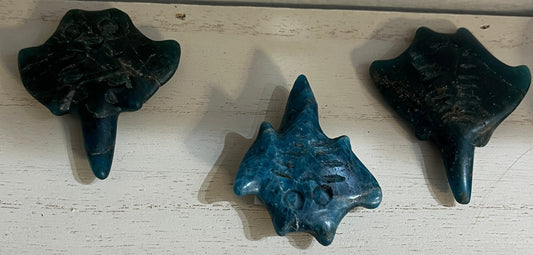 Blue Apatite Stingray