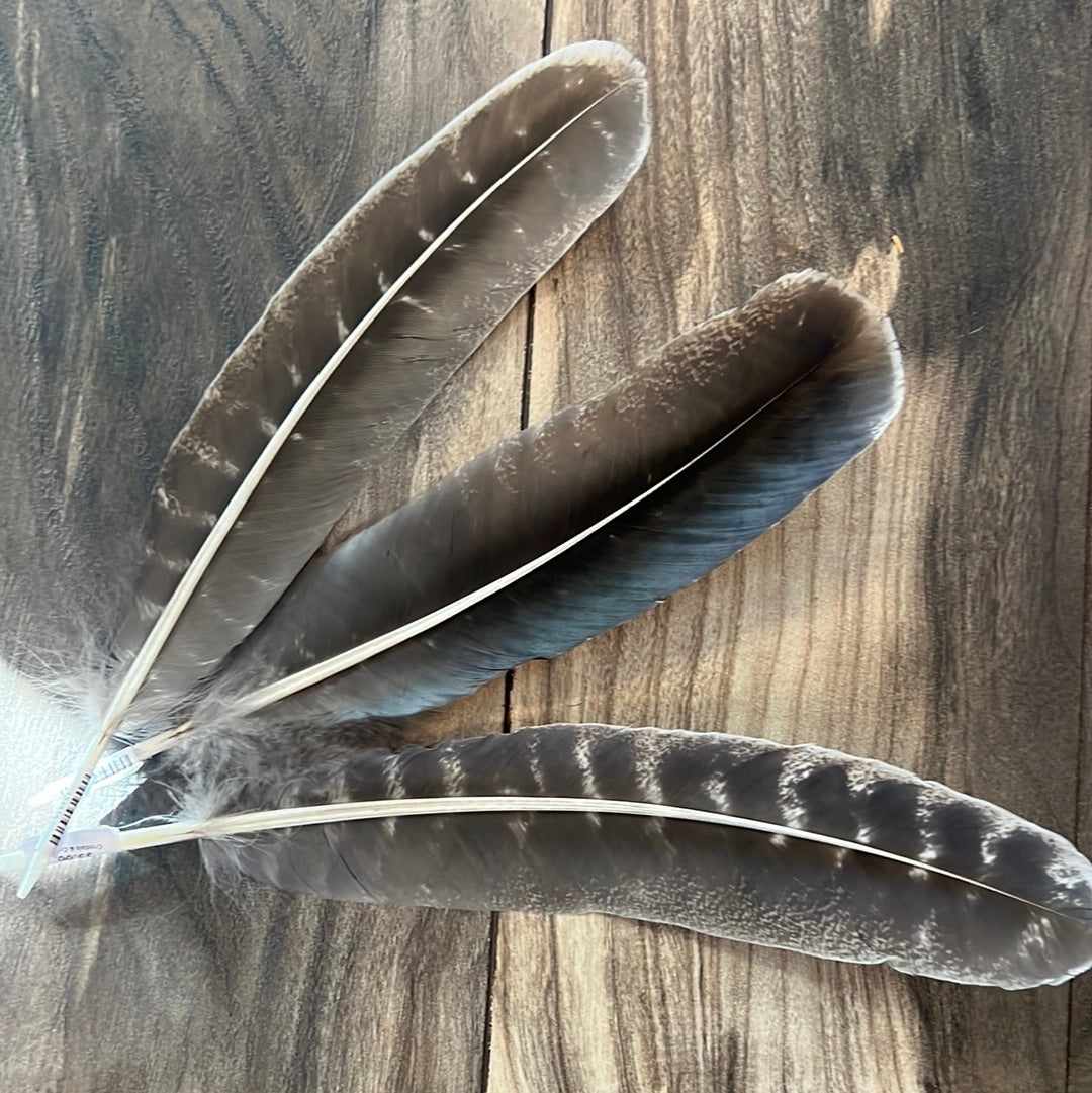 Feather