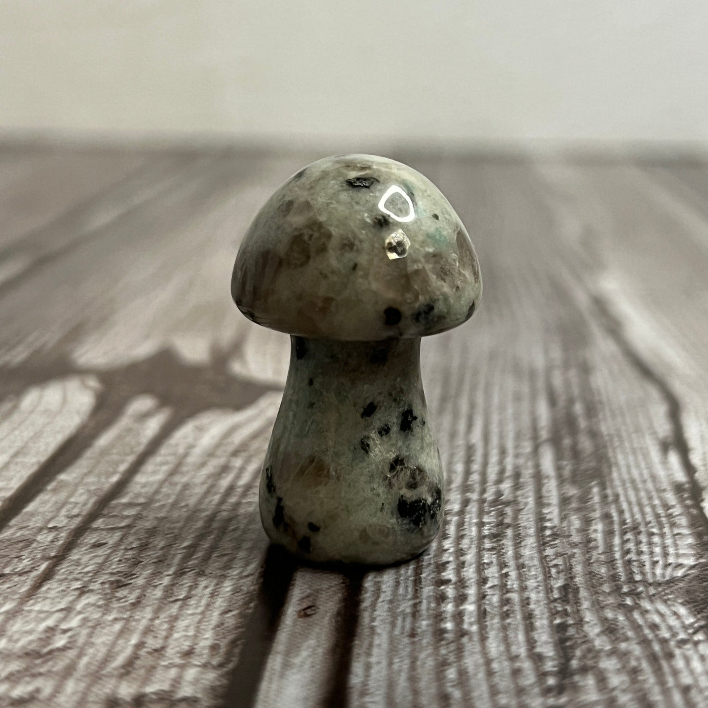 Mushroom