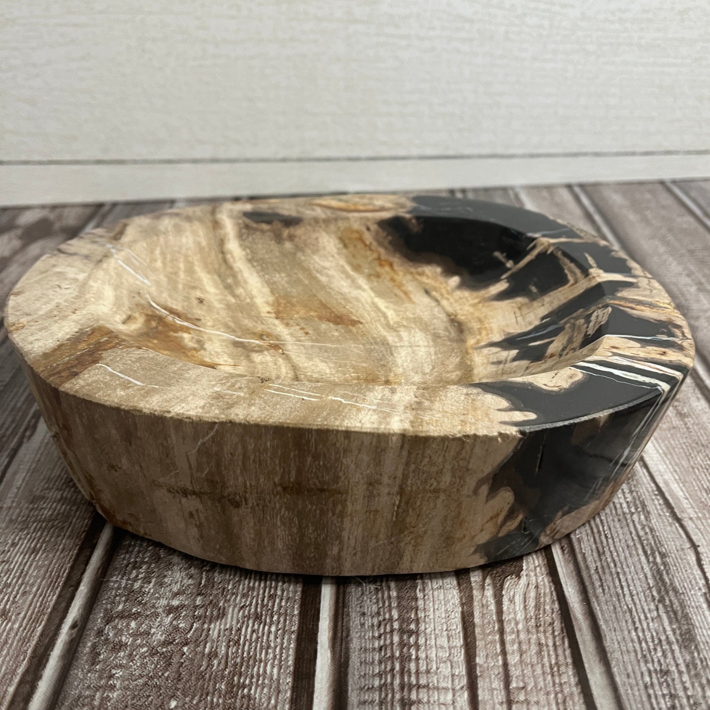 Petrified Wood Bowl